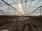 Elan №6017542 - Bakı, Türkan q., 10000 m²