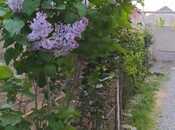 Продаётся 3-комн. дом/дача 65 м², пос. Маштаги, photo 2 from 8