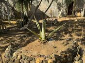 Продаётся 3-комн. дом/дача 100 м², пос. Мардакан, photo 5 from 8