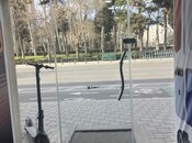 Satılır  obyekt 45 m², 28 May m., photo 5 from 7