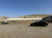 Объявление №6017910 - Гёйчай, Гёйчай, 100 сот