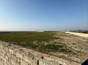 Объявление №6017940 - Баку, пос. Мамедли, 350 сот