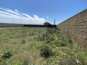 Satılır  torpaq 12 sot, Zirə q., photo 2 from 4