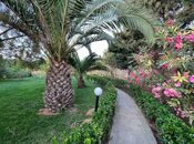 Сдаётся 7-комн. дом/дача 580 м², пос. Нардаран, photo 7 from 8