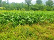 Elan №6018717 - Gədəbəy, Gədəbəy, 4 otaqlı, 90 m²