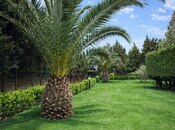 Сдаётся 5-комн. дом/дача 240 м², пос. Бильгях, photo 8 from 8