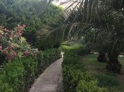 5 otaqlı həyət evi/bağ evi - Bilgəh q. - 500 m²