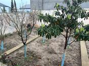 Продаётся 5-комн. дом/дача 115 м², пос. Говсан, photo 4 from 8