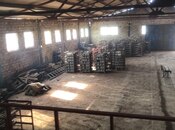 Объявление №6020258 - Баку, пос. Говсан, 3200 м²