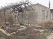 Elan №6020503 - Bakı, Sahil q., 200 sot