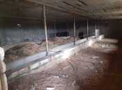 Satılır  torpaq 200 sot, Sahil q., photo 8 from 8