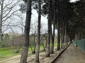 Продаётся  участок 2 сот, м. Насими, photo 5 from 5