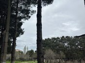 Объявление №6020792 - Баку, м. Насими, 2 сот