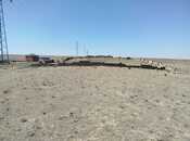 Satılır  torpaq 8 sot, Aşağı Güzdək q., photo 3 from 7