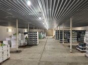 Obyekt - Sumqayıt - 1150 m²