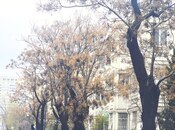 Объявление №6021272 - Баку, Насиминский  р., 3-комн., 90 м², 4/4 этаж