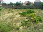 Elan №6022214 - Bakı, Bilgəh q., 12 sot