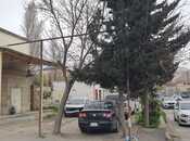 Сдаётся  объект 50 м², м. Иншаатчылар, photo 4 from 4