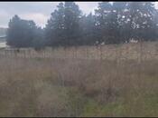 Satılır  torpaq 10 sot, Nardaran q., photo 2 from 5