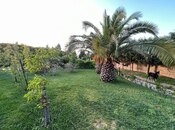 İcarəyə verilir 5 otaqlı həyət evi/bağ evi 350 m², Bilgəh q., photo 5 from 8
