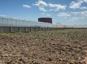 Сдаётся  участок 1 500 сот, пос. Бузовна, photo 3 from 5