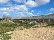 Сдаётся  участок 1 500 сот, пос. Бузовна, photo 2 from 5