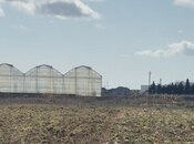 Сдаётся  участок 1 500 сот, пос. Бузовна, photo 4 from 5