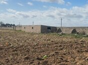 Сдаётся  участок 1 500 сот, пос. Бузовна, photo 5 from 5