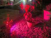 İcarəyə verilir 3 otaqlı həyət evi/bağ evi 120 m², Novxanı q., photo 8 from 8