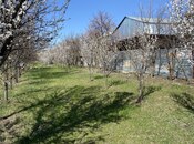 Elan №6023769 - Yevlax, Yevlax, 30 sot