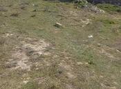 Продаётся  участок 2 сот, пос. Зых, photo 1 from 4