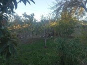 Satılır  torpaq 8 sot, Qala q., photo 1 from 5