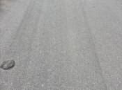 Продаётся  участок 12 сот, пос. Пиршаги, photo 3 from 4