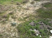 Объявление №6024780 - Баку, пос. Пиршаги, 12 сот