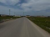 Продаётся  участок 50 сот, пос. Бина, photo 2 from 8