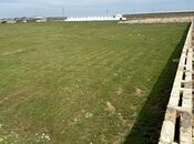 Продаётся  участок 50 сот, пос. Бина, photo 3 from 8