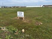 Продаётся  участок 50 сот, пос. Бина, photo 4 from 8