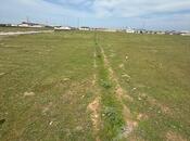 Продаётся  участок 50 сот, пос. Бина, photo 6 from 8