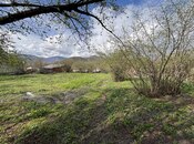 Elan №6025494 - Zaqatala, Zaqatala, 26 sot