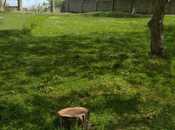 Satılır  torpaq 20 sot, Nabran r., photo 4 from 8