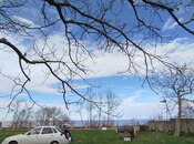 Объявление №6026319 - Хачмаз, Хачмаз, 20 сот