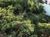 Satılır 10 otaqlı həyət evi/bağ evi 425 m², Badamdar q., photo 4 from 8