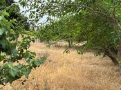 Продаётся  участок 10 сот, пос. Новханы, photo 7 from 8