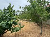 Продаётся  участок 10 сот, пос. Новханы, photo 5 from 8