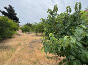 Продаётся  участок 10 сот, пос. Новханы, photo 8 from 8