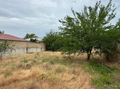 Продаётся  участок 10 сот, пос. Новханы, photo 3 from 8