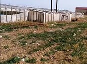 Elan №6027724 - Bakı, Zirə q., 700 sot