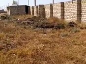 Satılır  torpaq 700 sot, Zirə q., photo 6 from 7