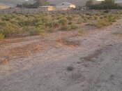 Elan №6029131 - Bakı, Pirəkəşkül q., 20 sot