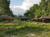 Satılır  obyekt 5 000 m², photo 4 from 8